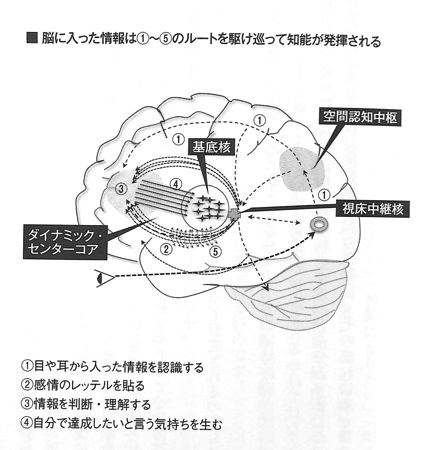 脳の仕組みP27