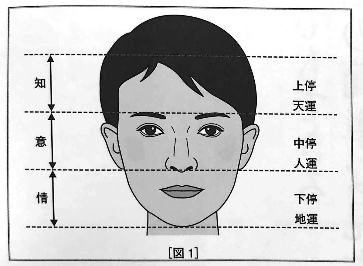 図1 顔の三停の区分け 人相学の完全独習 第一章