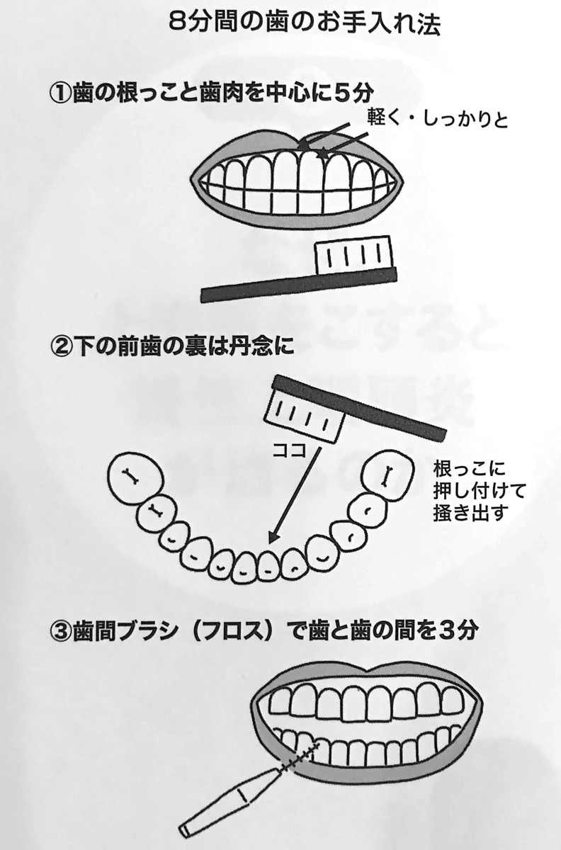 図3 8分間の歯のお手入れ法 慢性上咽頭炎を治しなさい 第3章