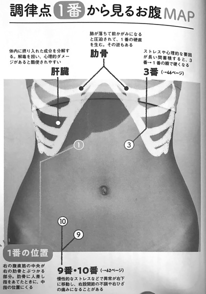 図8 調律点1番から見るお腹MAP 人体力学 腹部十二調律点 第3章