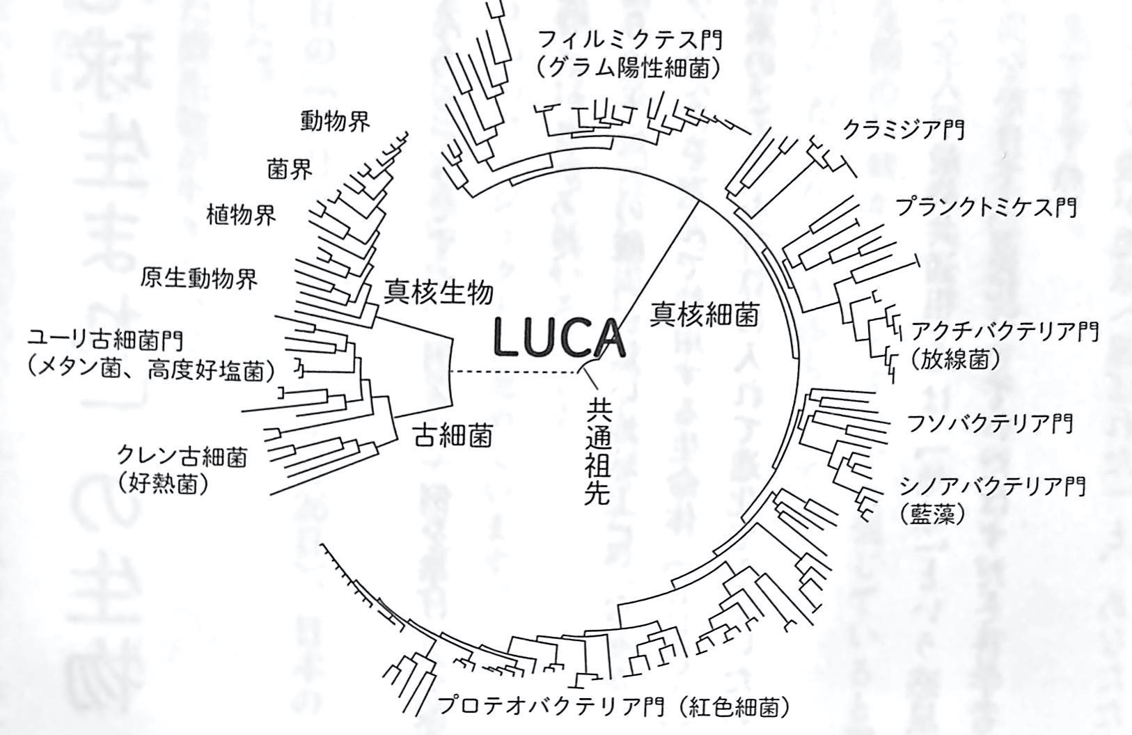 図1 LUCAとは何か BASHAR 2023 第1章