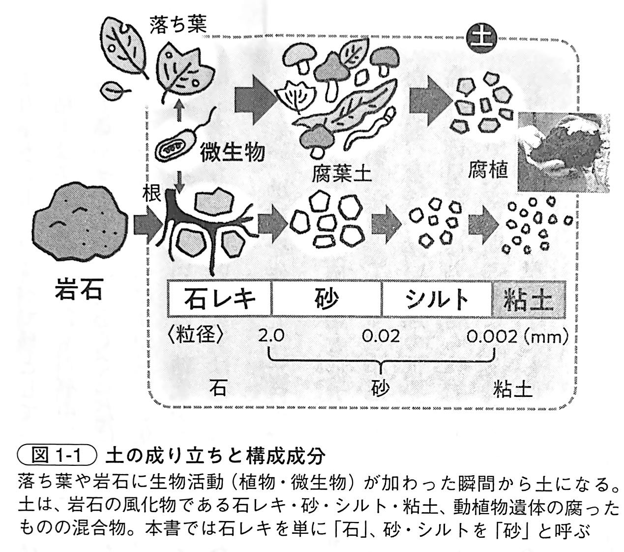 図1 1．土の成り立ちと構成成分（『土と生命の46億年史』第1章）.