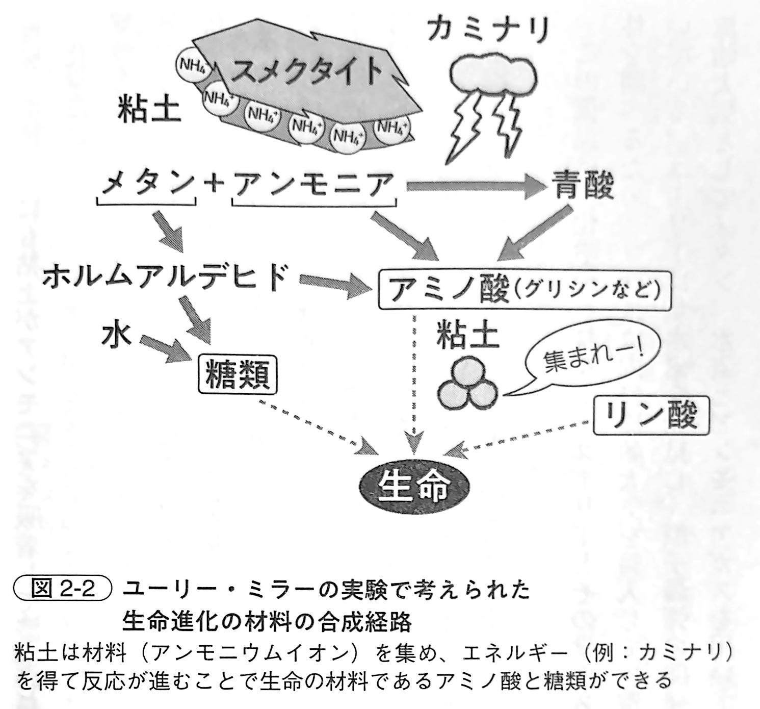 図2 2．ユーリー・ミラーの実験で考えられた生命進化の材料の合成経路（『土と生命の46億年史』第2章）.