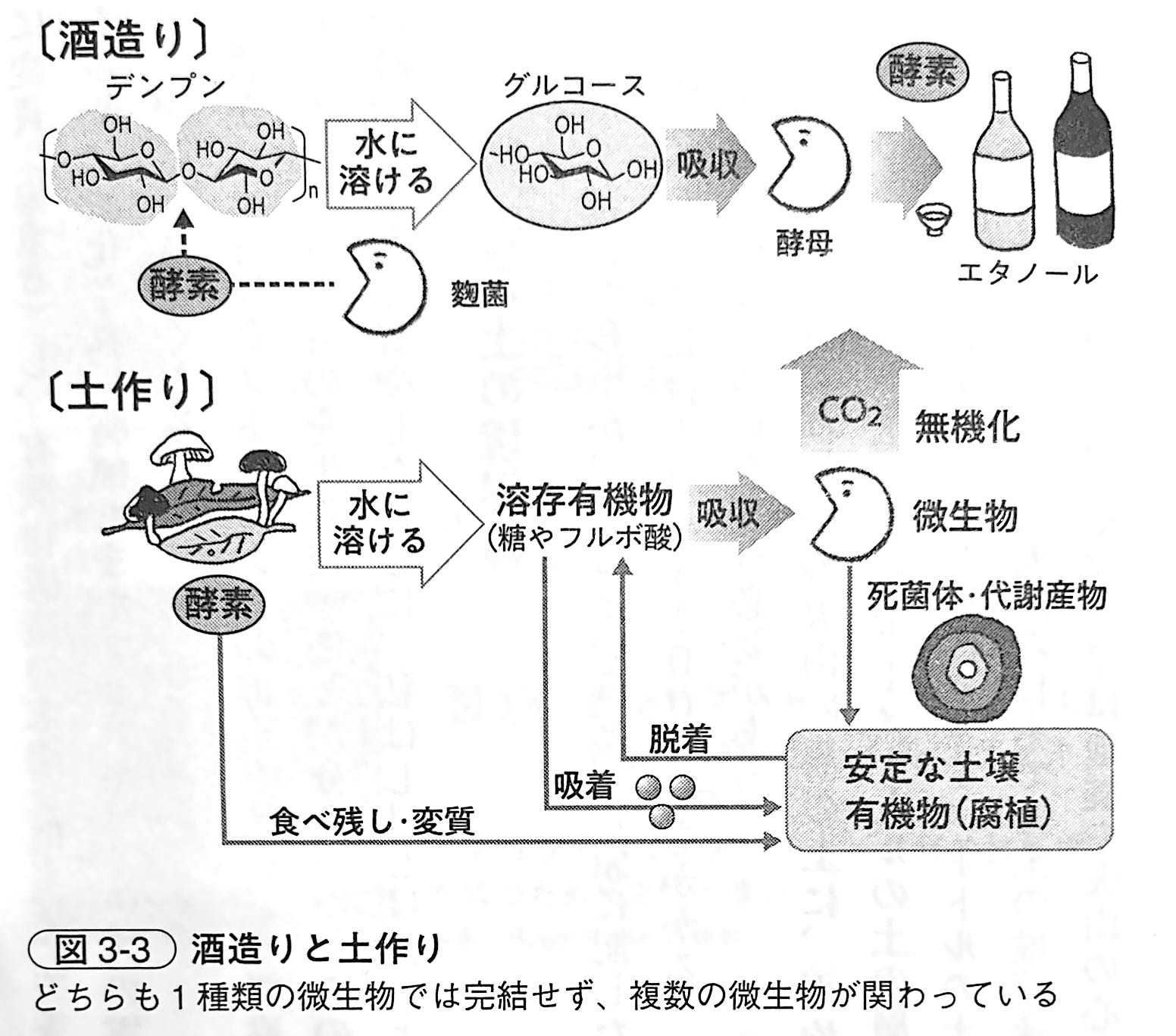 図3 3．酒造りと土作り（『土と生命の46億年史』第3章）.