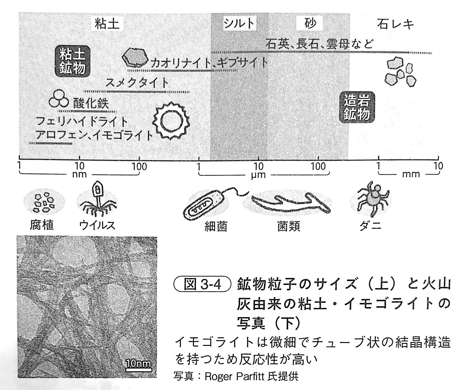 図3 4．鉱物粒子のサイズ（上）と火山灰由来の粘土・イモゴライトの写真（下）（『土と生命の46億年史』第3章）.