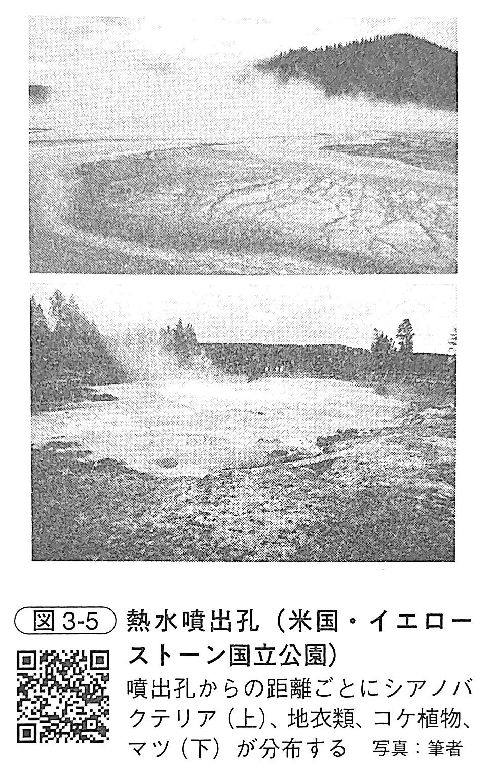 図3 5．熱水噴出孔（米国・イエローストーン国立公園）（『土と生命の46億年史』第3章）.