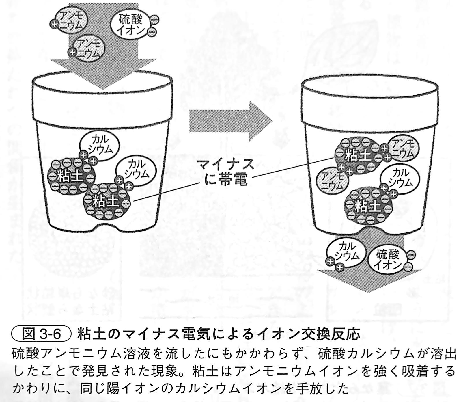 図3 6．粘土のマイナス電気によるイオン交換反応（『土と生命の46億年史』第3章）.