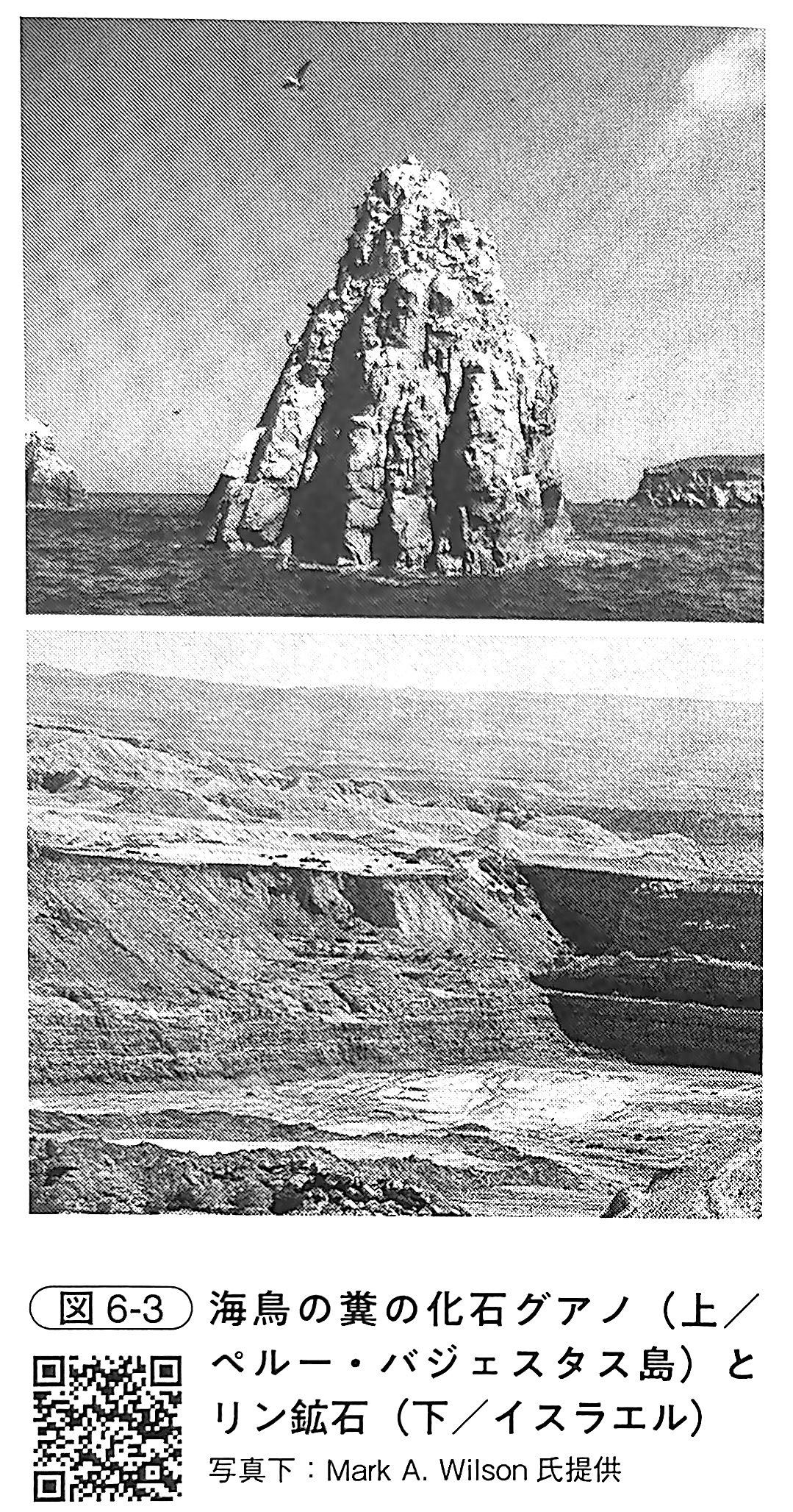 図6 3．海鳥の糞の化石グアノ（『土と生命の46億年史』第6章）.