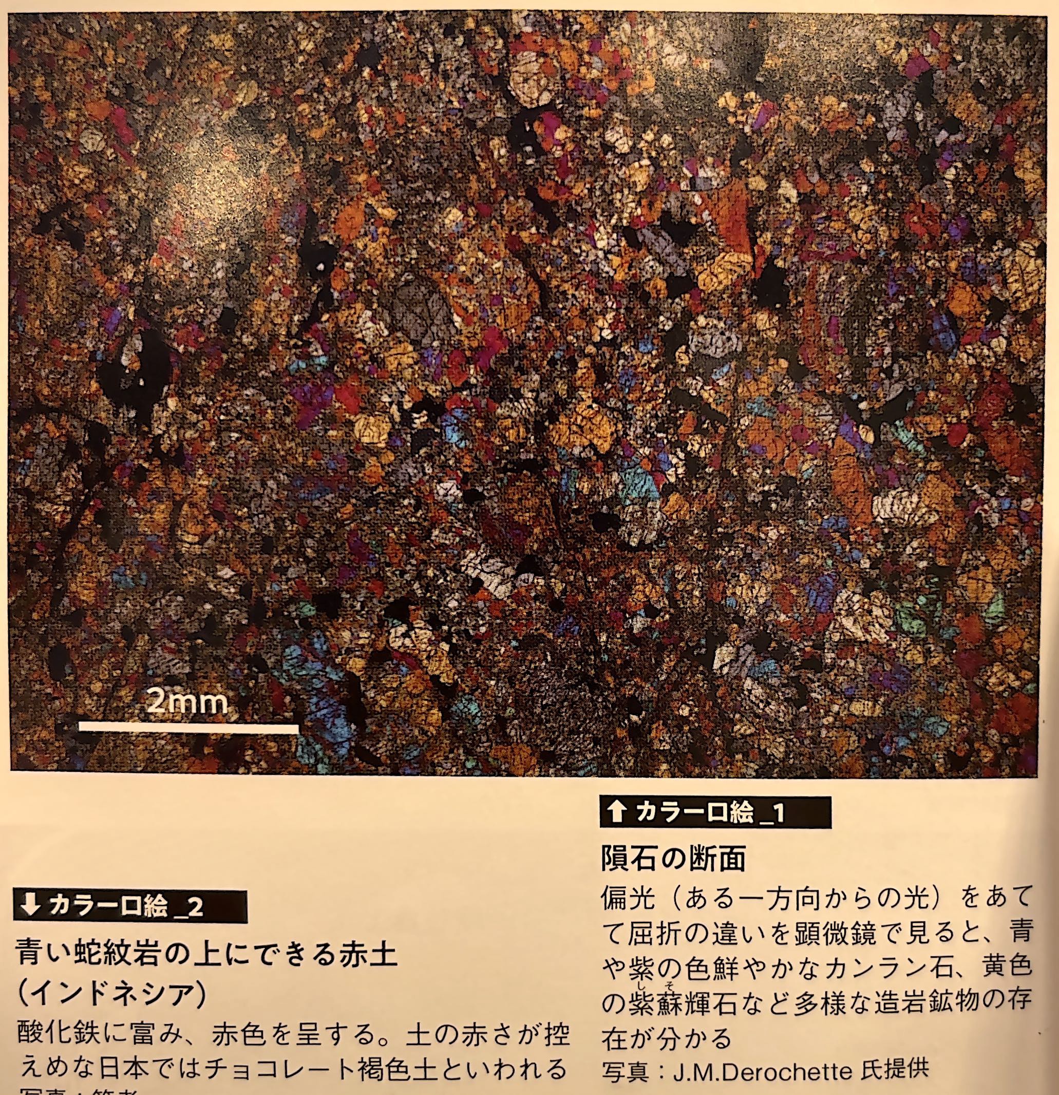 カラー口絵 1．隕石の断面（『土と生命の46億年史』巻頭）.