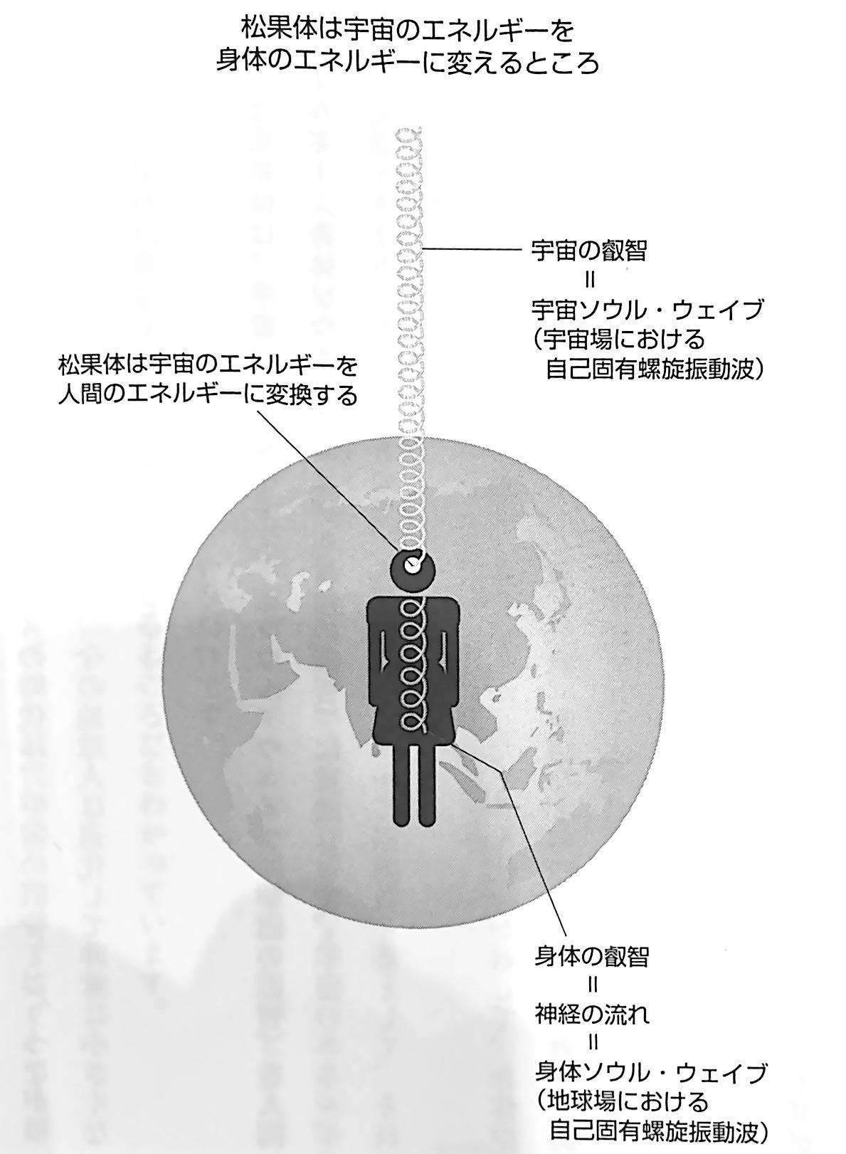 図1.松果体は宇宙のエネルギーを身体のエネルギーに変えるところ(『水晶化(珪素)する地球人の秘密』第2章).jpg